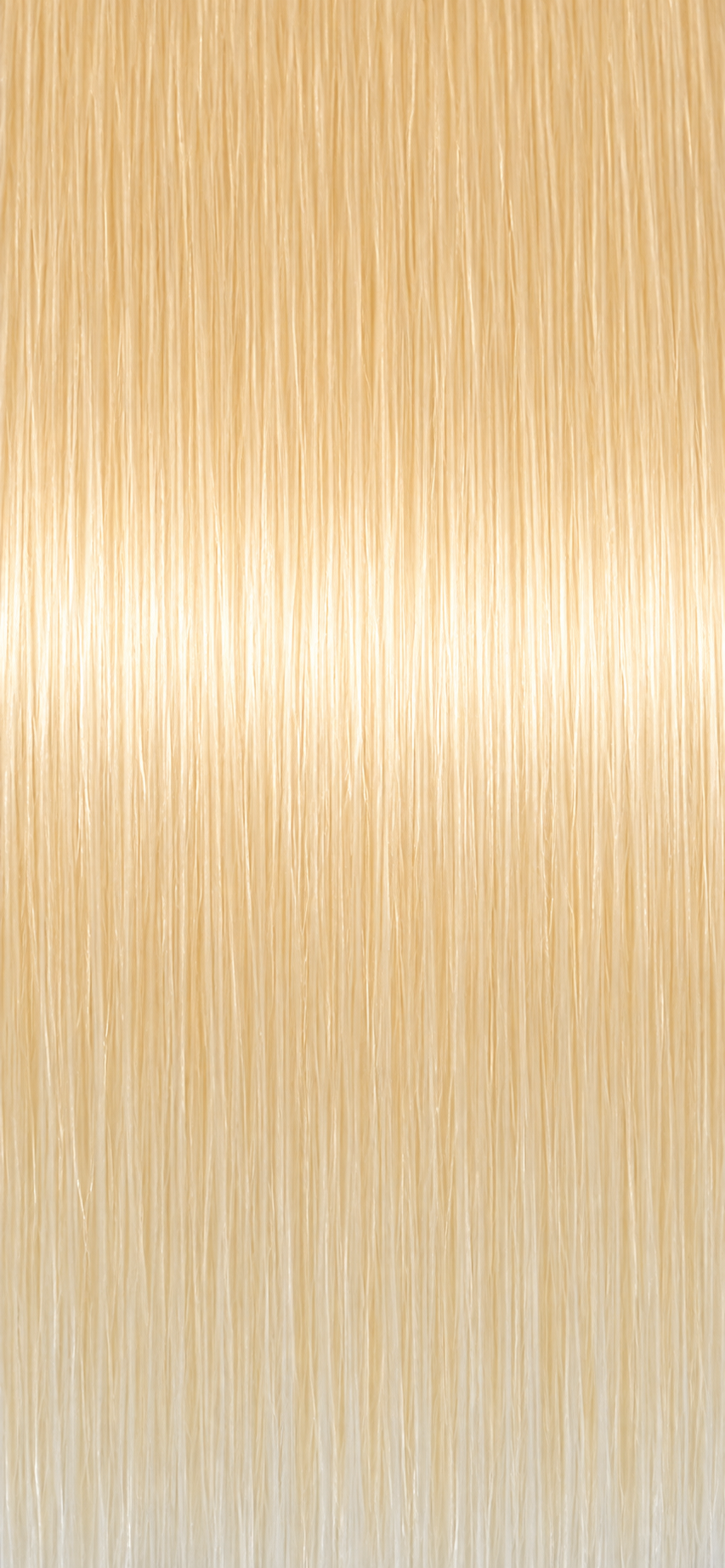 Valkyrian Silk Base wig